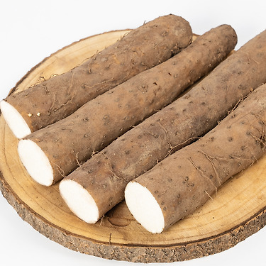 농장직송 [안동 참 마 1kg] 산마/장마 흙마 생마 마사토 땅속의 장어 | 톡딜