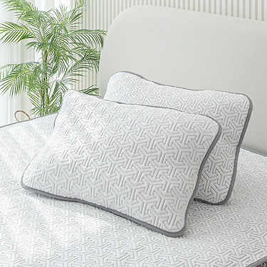 [톡딜] 쿨링 냉감 베개커버 밴드형 1+1 (11,900원/무료)