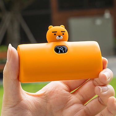 Power Bank 5000mAh C Ryan