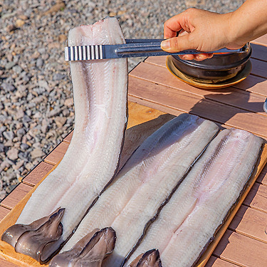 당일손질 민물장어 1kg (손질 후 700g)