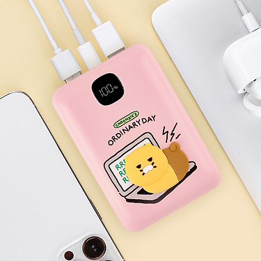 Power Bank 20,000 Rose
