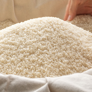 유기농 습식 쌀가루 [ 무염 백미멥쌀가루 1kg ] 떡만들기 베이킹 떡재료 | 톡딜