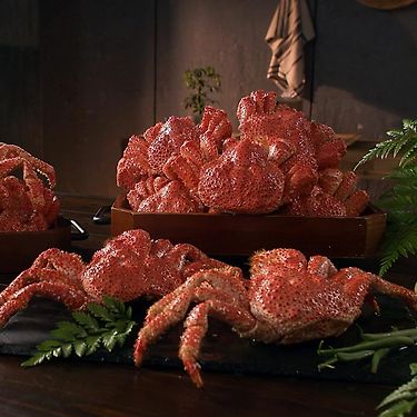 한농식 자연산 스노우 레드크랩 3마리