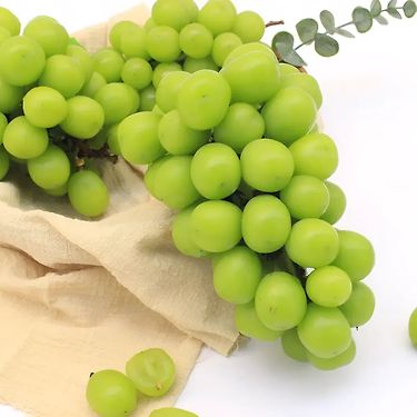 [깜짝! 3,000원 할인쿠폰!] 아삭 달콤한 경북 샤인머스캣 2kg 외 | 톡딜