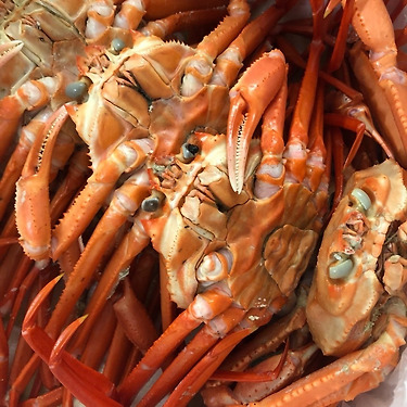 [톡딜] 최상품 국내산 자숙 박달 홍게 A급 6kg 내외 (16,900원/무료)