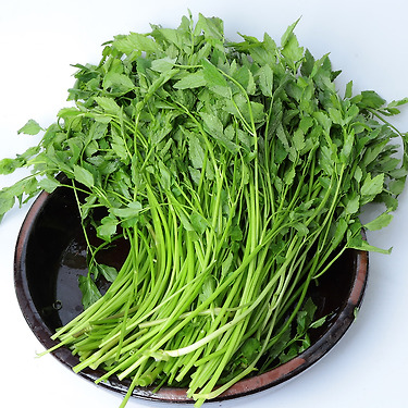 국내산 세척 동곡 하우스 미나리 400g