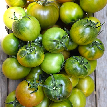 짭짤이 토마토 2.5kg