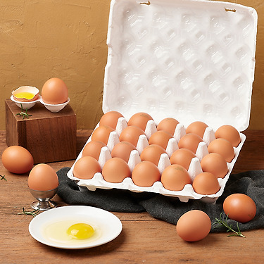 난각번호 1번 유정란 20구