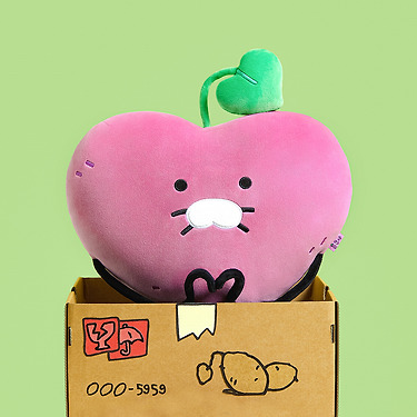 KAKAO FRIENDS - Coussin