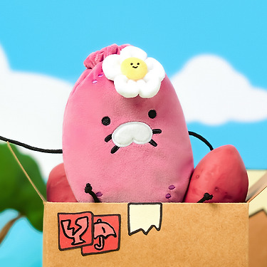 KAKAO FRIENDS - Pochette