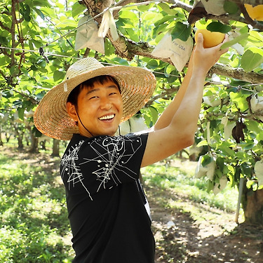 나주배 가정용 5KG