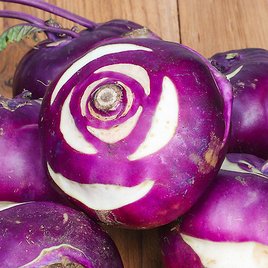 제주 콜라비 2kg 혼합 사이즈