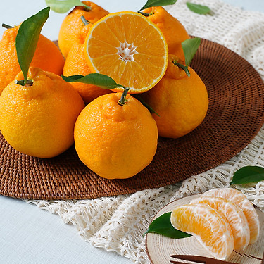 가정용 제주 한라봉 2kg