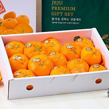 제주 레드향 못난이 혼합과