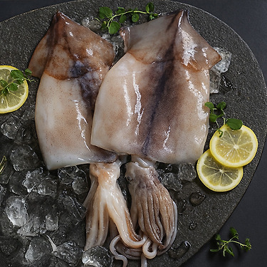 자연산 손질 오징어 1.04kg (총8미)