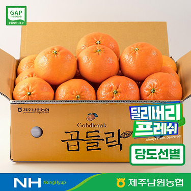 레드향 중과 2kg