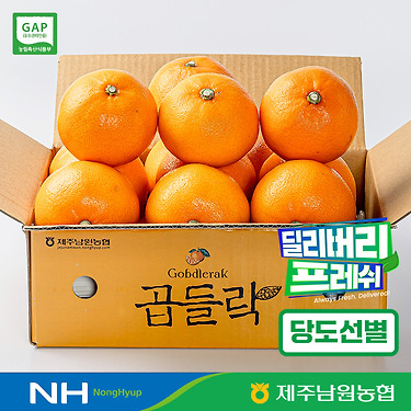 제주남원농협 곱들락 천혜향 중과 2kg