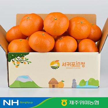 제주 13BRIX 당도선별 레드향 2.5KG 11~14과