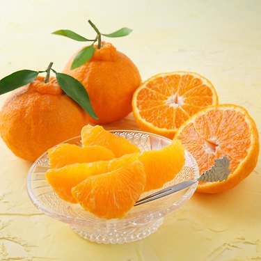 당도선별 12브릭스 한라봉 1.5kg 중과(6~8과)