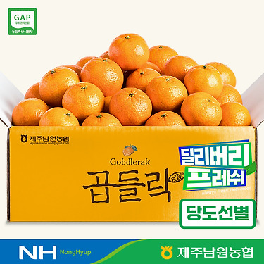 비가림감귤 대과 2kg