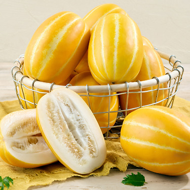 [톡딜] 성주 꿀참외 2kg 로얄과 (13,900원 / 무료)