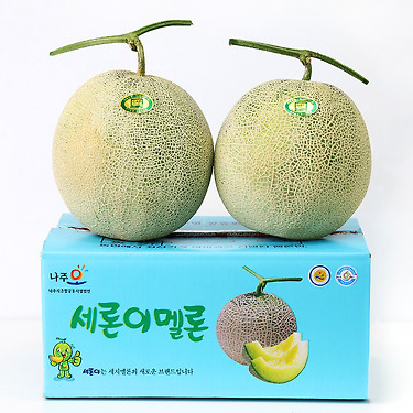 [톡딜] 세지멜론 왕대과사이즈 5kg 2수 (17,500원/무료)