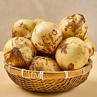 [톡딜]26년 수확 무안 양파 3kg 중대(4,450원/무배)