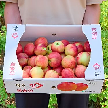 [톡딜] 신비복숭아 5kg 소과 (16,900원/무료)