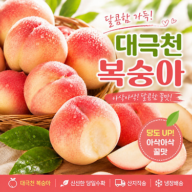 [톡딜] 딱딱이 대극천 반납작 복숭아 1kg 소과 외 14,700원+무배