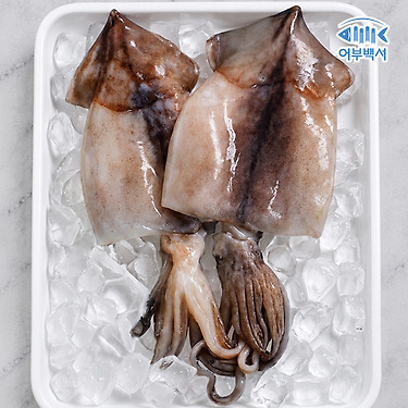 [카카오]자연산 손질 오징어 780g (260g x 3팩/팩당 2미) (14,000원/무료)