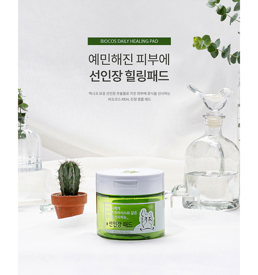 수정 화장 각질 제거에는 앰플 가득 토너 패드 비오코스 선인장 패드 수정 화장 각질 제거에는 앰플 가득 토너 패드 비오코스 선인장 패드