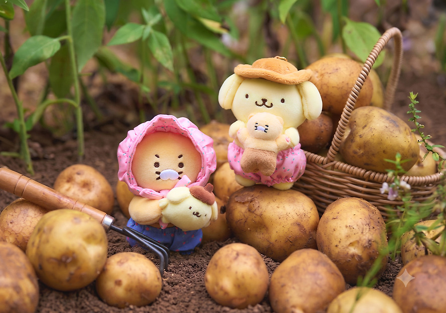 Plush Keychain Pompompurin X Friends Chunsik - Kakao Friends
