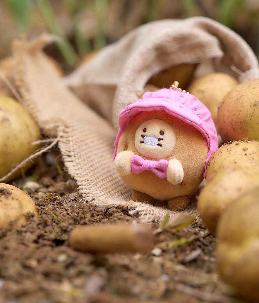 Plush Keychain Set Pompompurin X Friends Potato Set - Kakao Friends