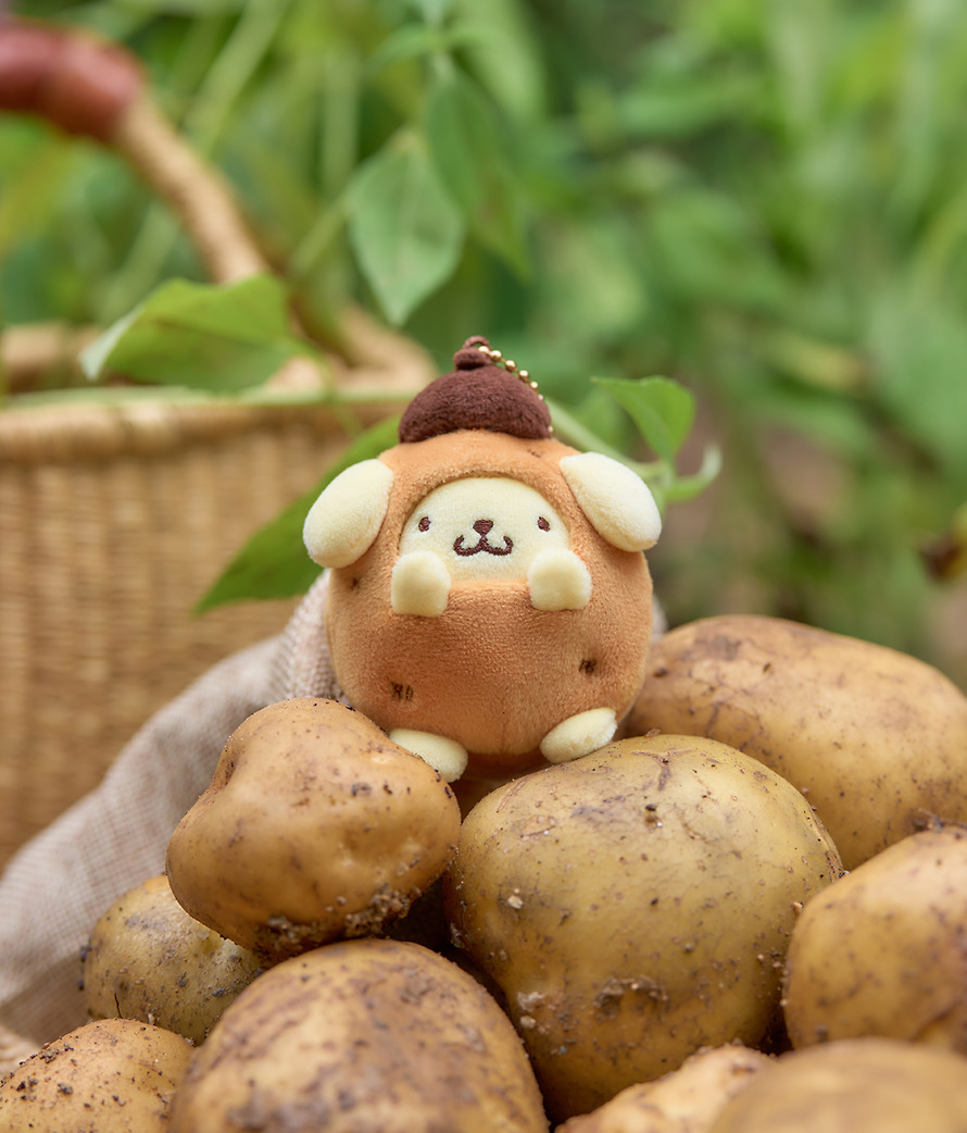 Plush Keychain Set Pompompurin X Friends Potato Set - Kakao Friends
