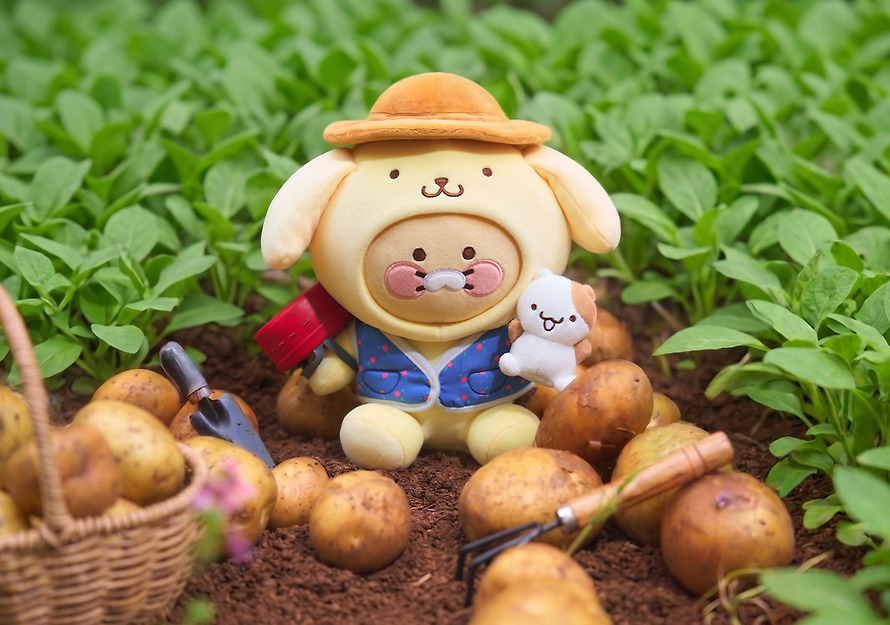 Medium Plush Pompompurin X Friends Medium Chunsik - Kakao Friends