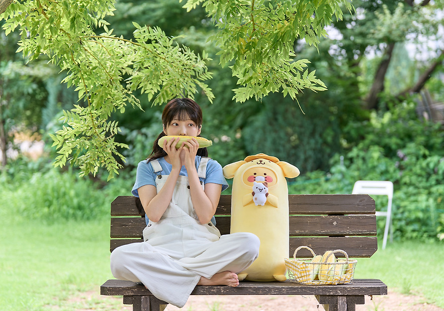 Long Pillow Plush Pompompurin X Friends Long Pillow - Kakao Friends