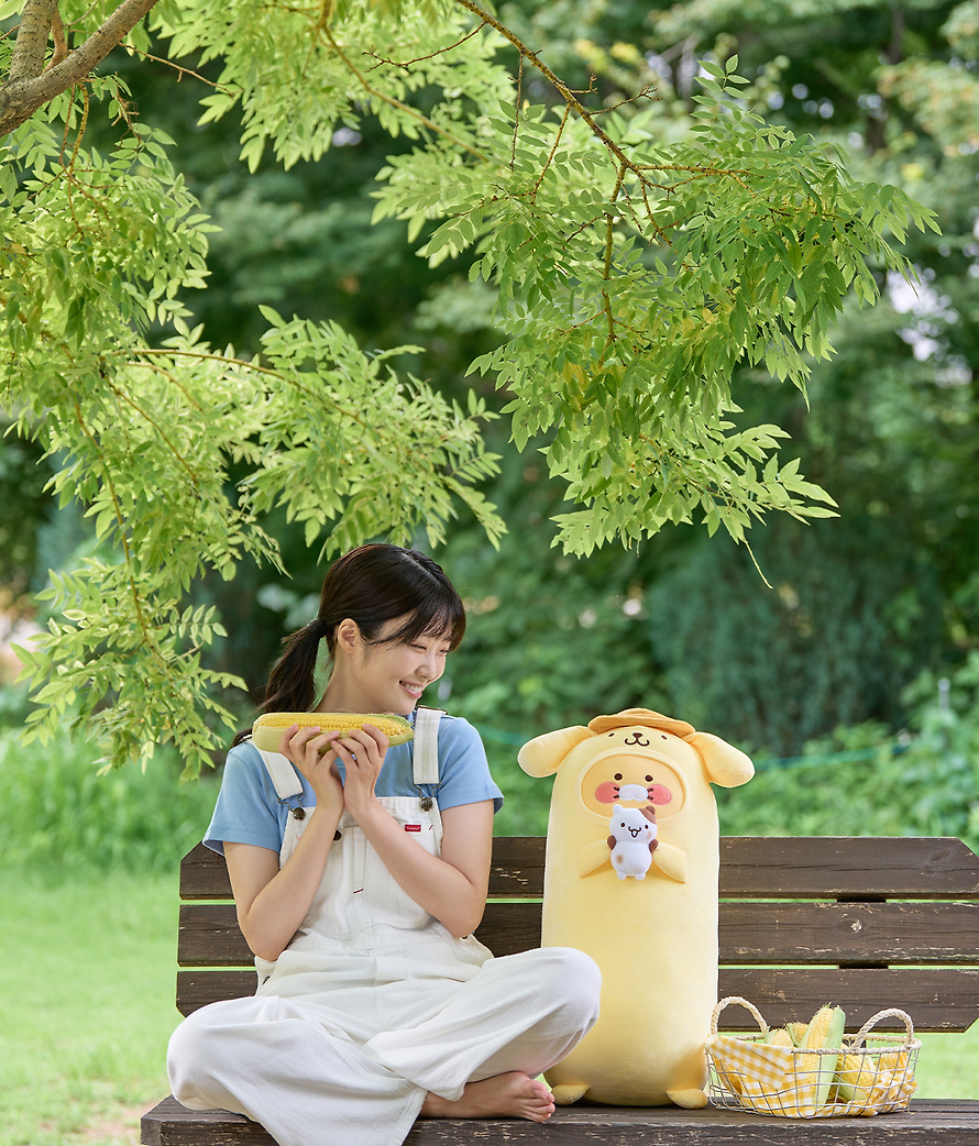 Long Pillow Plush Pompompurin X Friends Long Pillow - Kakao Friends