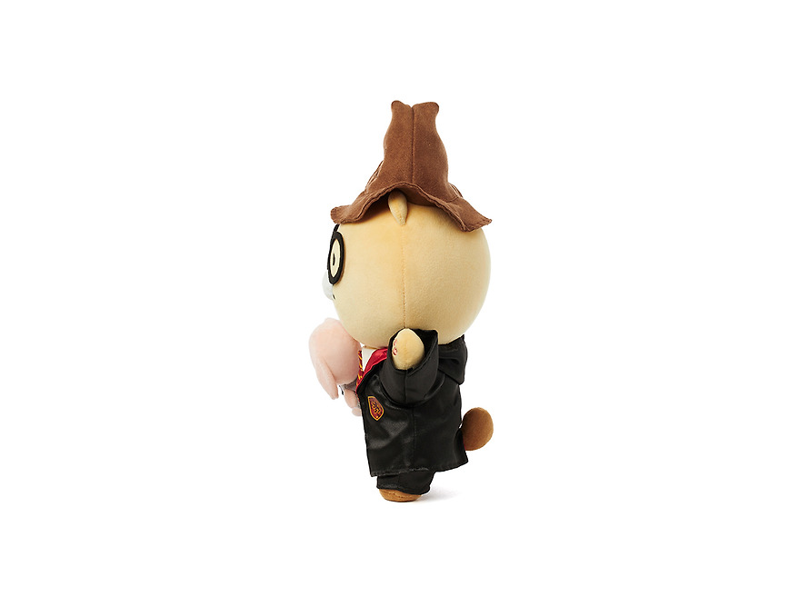 Plush Harry Potter X Friends Wizard Chunsik - Kakao Friends