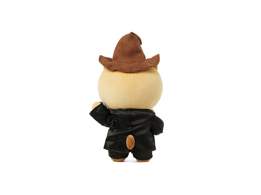Plush Harry Potter X Friends Wizard Chunsik - Kakao Friends