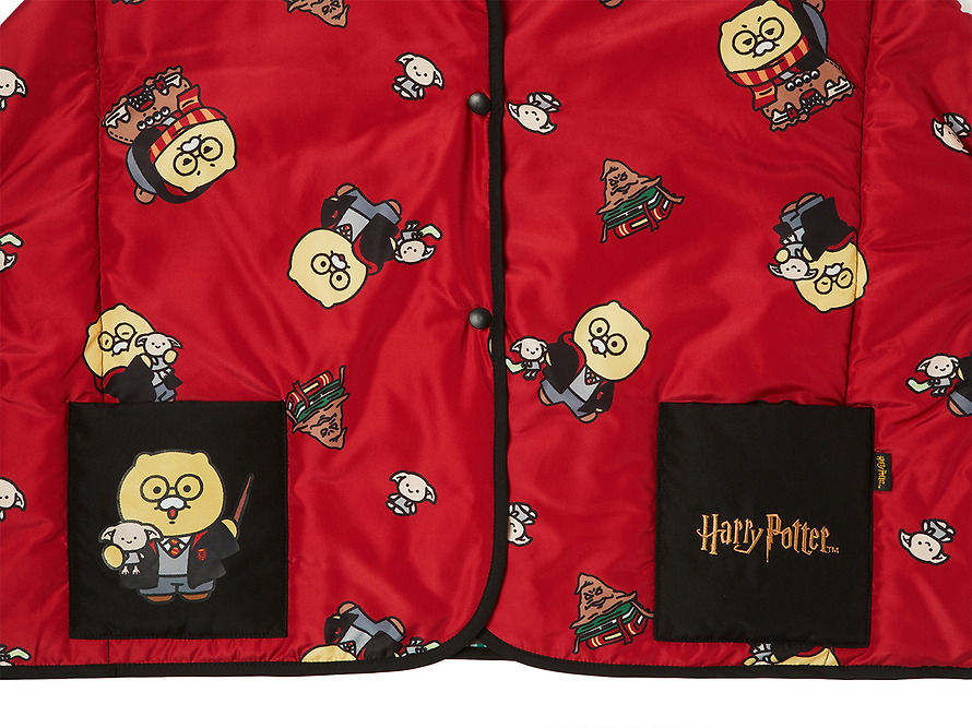 Reversible Cape Blanket Harry Potter X Friends Chunsik - Kakao Friends